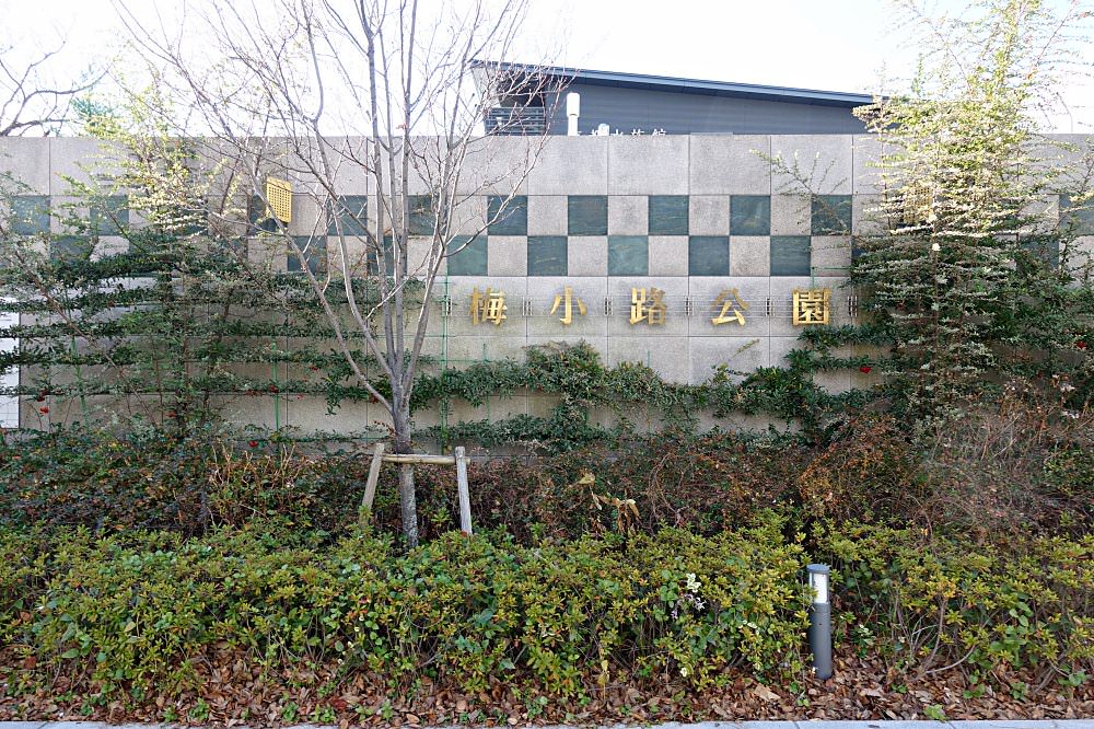 20241002pogwv