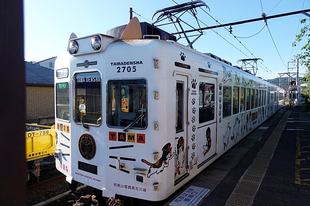 20241002lr3qr