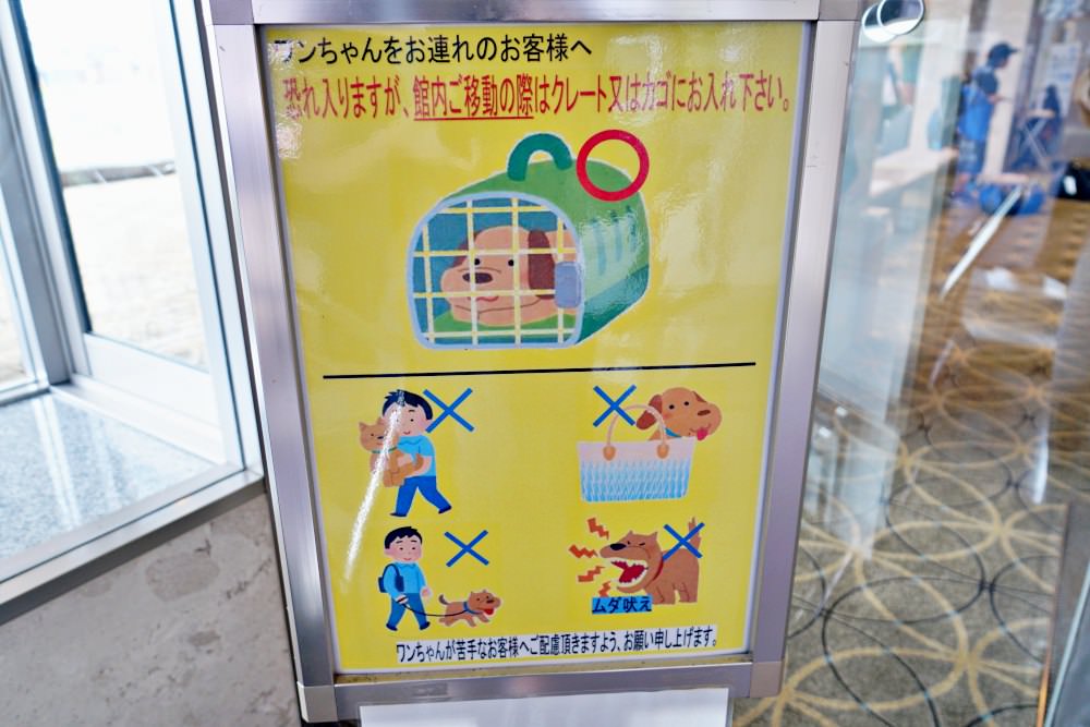 202410028pnbn