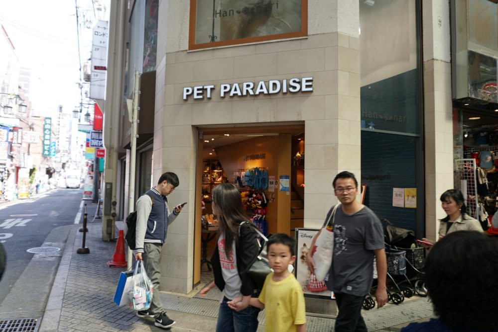 20241002arzpj
