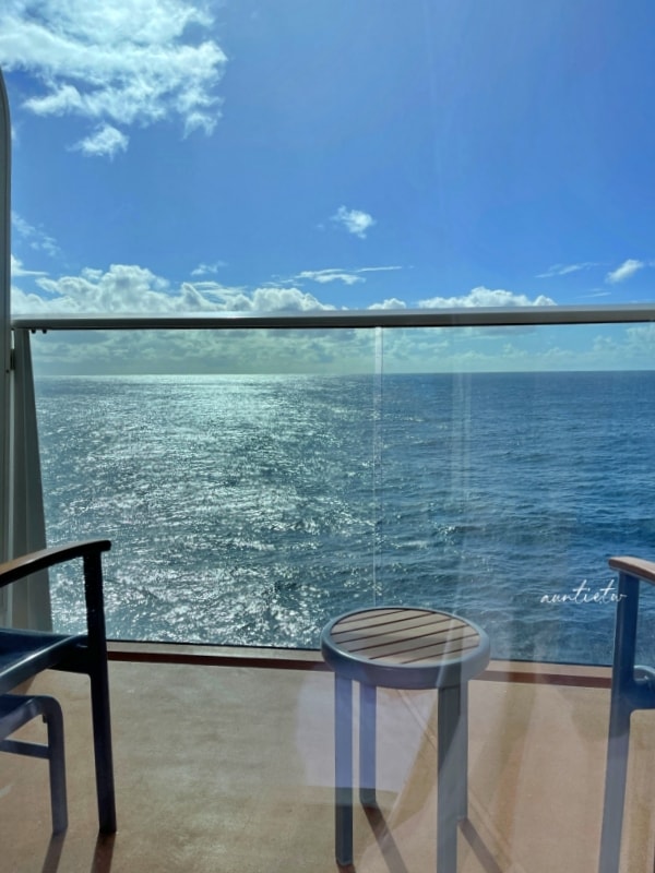 【皇家加勒比遊輪】阿拉斯加航線 |Ovation of the Seas 海洋贊禮號,登船準備事項、陽台海景房 Part 1 - 第25張圖