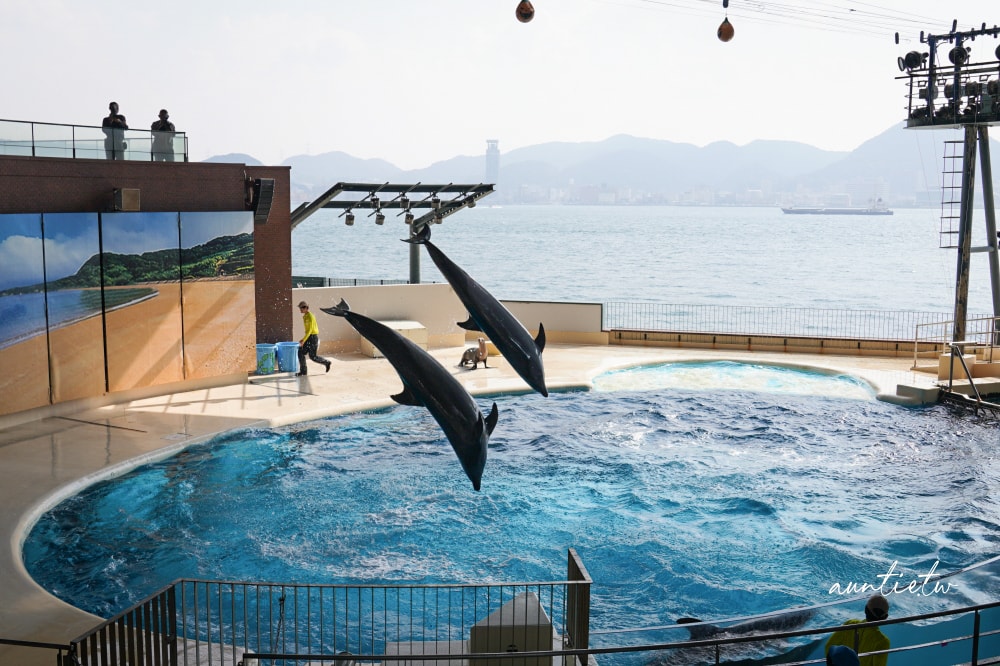 【北九州旅遊】門司港、唐戶市場吃海鮮,海響館超呆萌企鵝! - 第32張圖