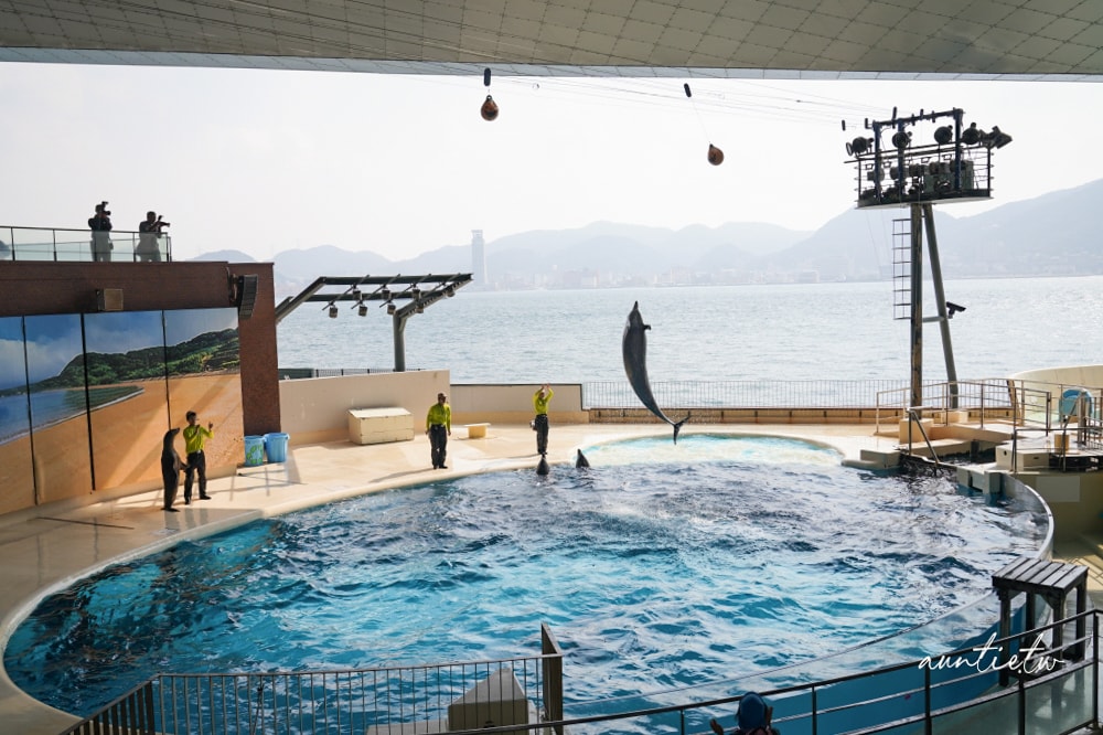 【北九州旅遊】門司港、唐戶市場吃海鮮,海響館超呆萌企鵝! - 第33張圖