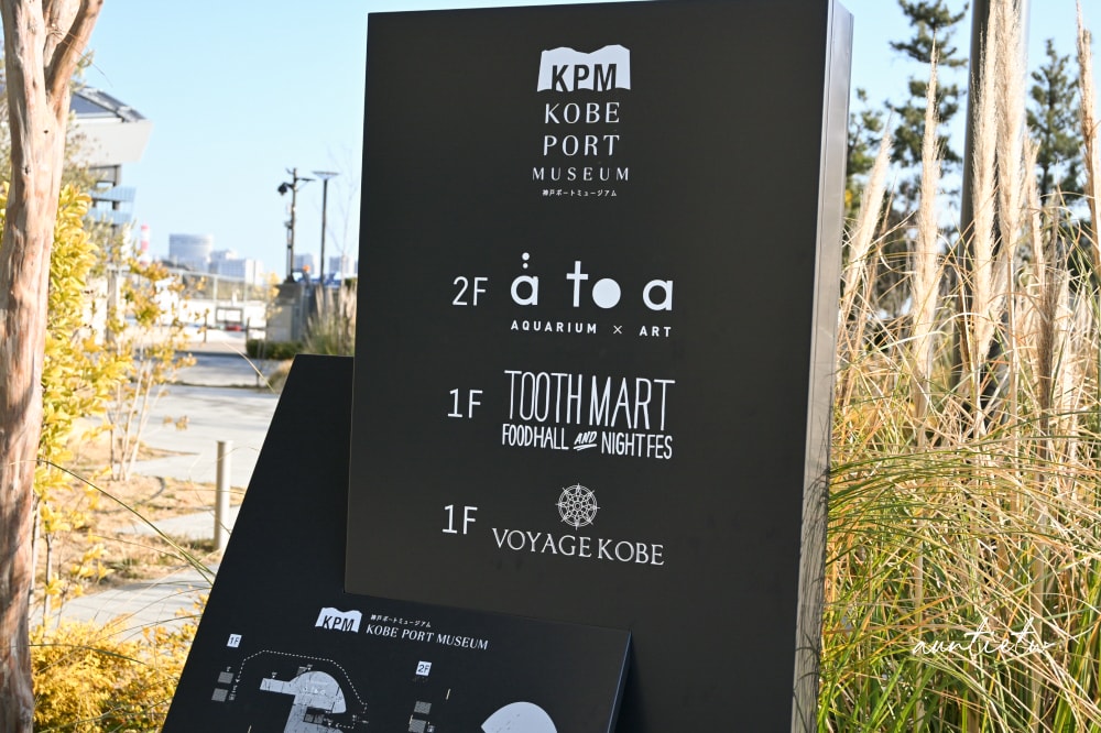 【神戶景點】átoa水族館,日本最大球型水族箱,水族結合光影藝術,顛覆感官絕美新型態水族館! - 第8張圖