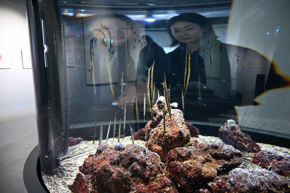 【神戶景點】átoa水族館,日本最大球型水族箱,水族結合光影藝術,顛覆感官絕美新型態水族館! - 第18張圖