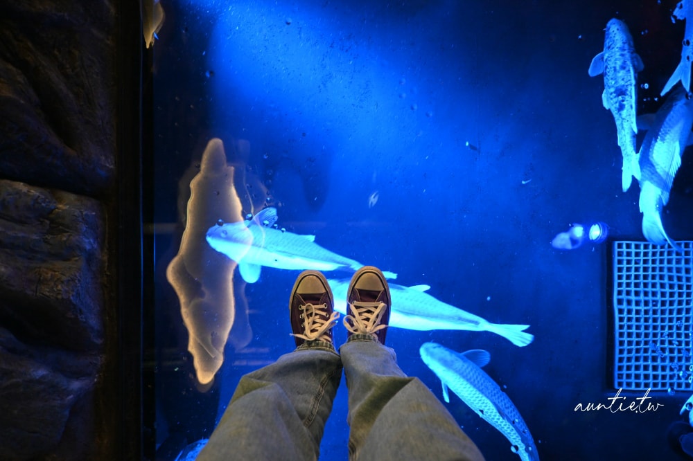 【神戶景點】átoa水族館,日本最大球型水族箱,水族結合光影藝術,顛覆感官絕美新型態水族館! - 第43張圖