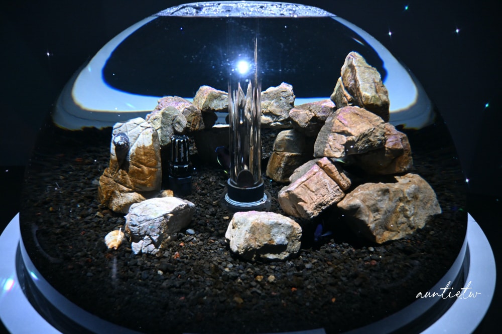 【神戶景點】átoa水族館,日本最大球型水族箱,水族結合光影藝術,顛覆感官絕美新型態水族館! - 第49張圖