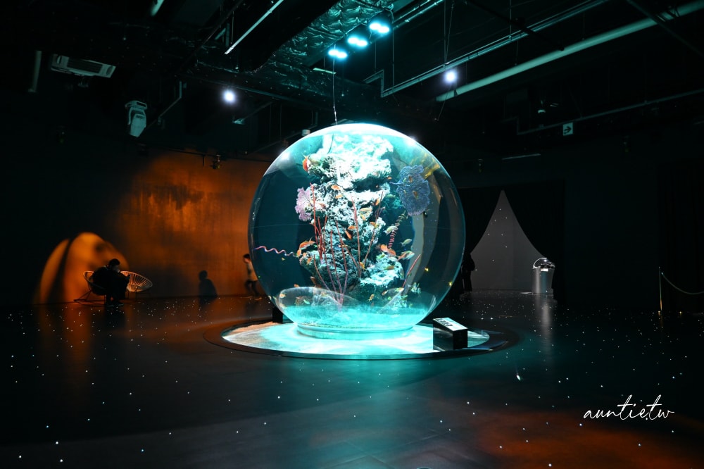 【神戶景點】átoa水族館,日本最大球型水族箱,水族結合光影藝術,顛覆感官絕美新型態水族館! - 第53張圖