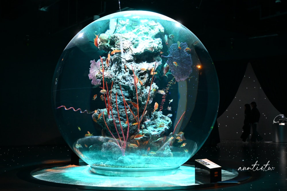 【神戶景點】átoa水族館,日本最大球型水族箱,水族結合光影藝術,顛覆感官絕美新型態水族館! - 第52張圖