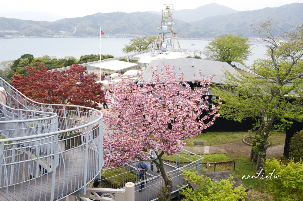 【天橋立一日遊】天橋立View Land飛龍觀,智恩寺,伊根舟屋遊船餵海鷗,水之京都一日遊推薦 - 第25張圖