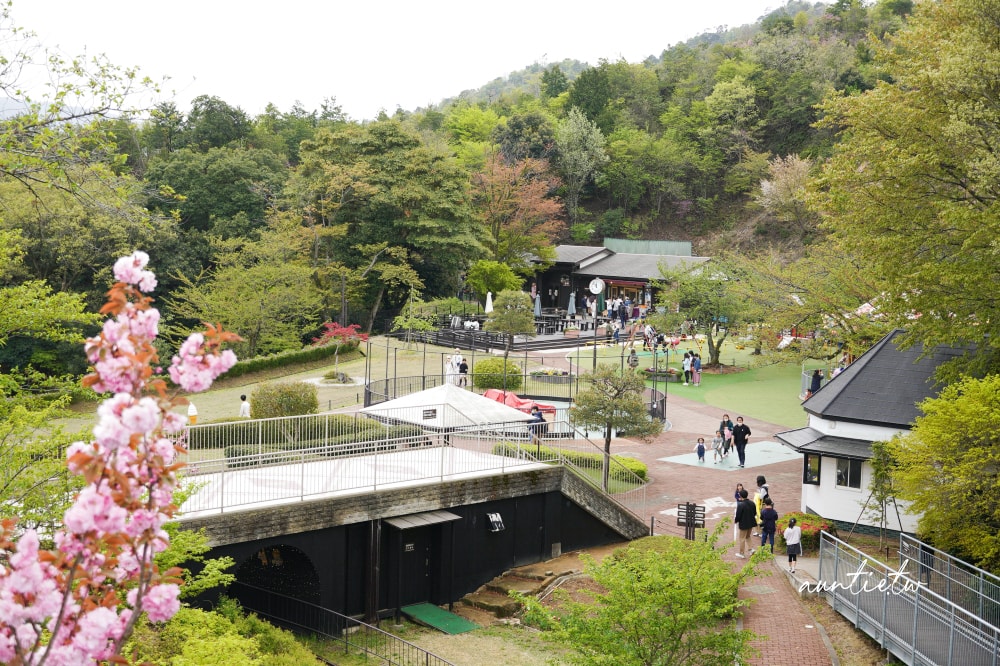 【天橋立一日遊】天橋立View Land飛龍觀,智恩寺,伊根舟屋遊船餵海鷗,水之京都一日遊推薦 - 第26張圖