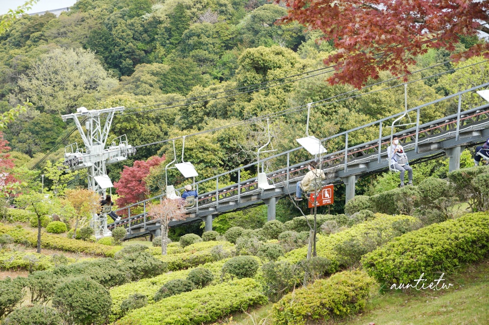 【天橋立一日遊】天橋立View Land飛龍觀,智恩寺,伊根舟屋遊船餵海鷗,水之京都一日遊推薦 - 第13張圖