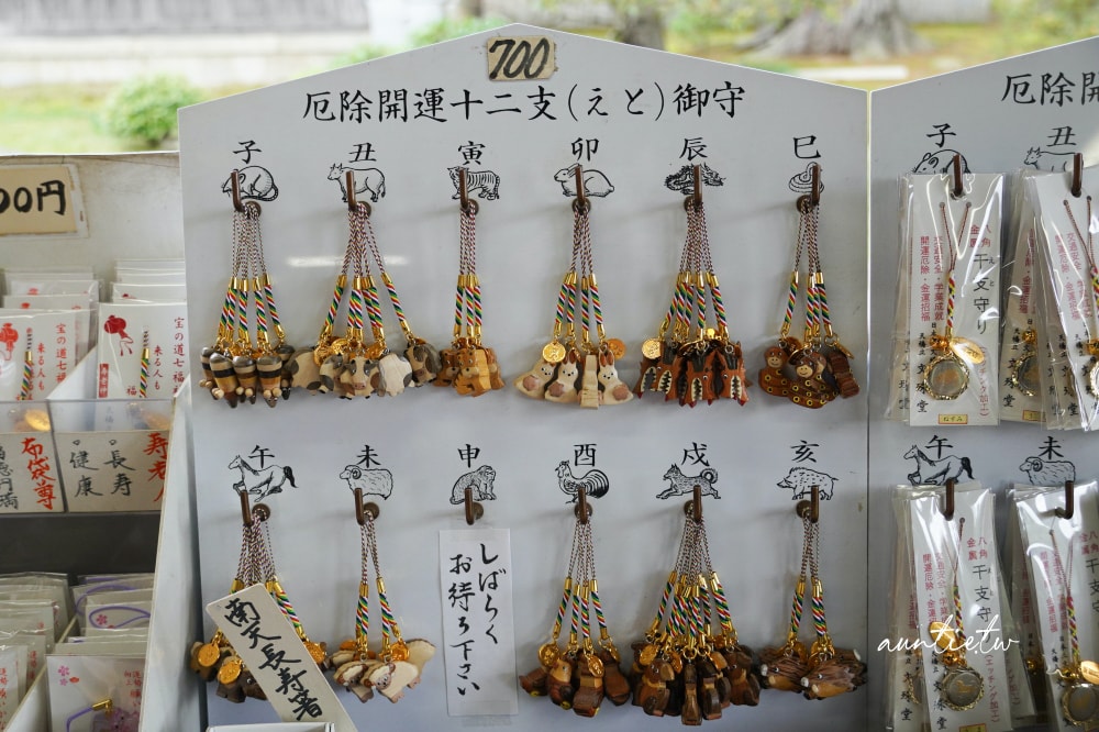 【天橋立一日遊】天橋立View Land飛龍觀,智恩寺,伊根舟屋遊船餵海鷗,水之京都一日遊推薦 - 第37張圖