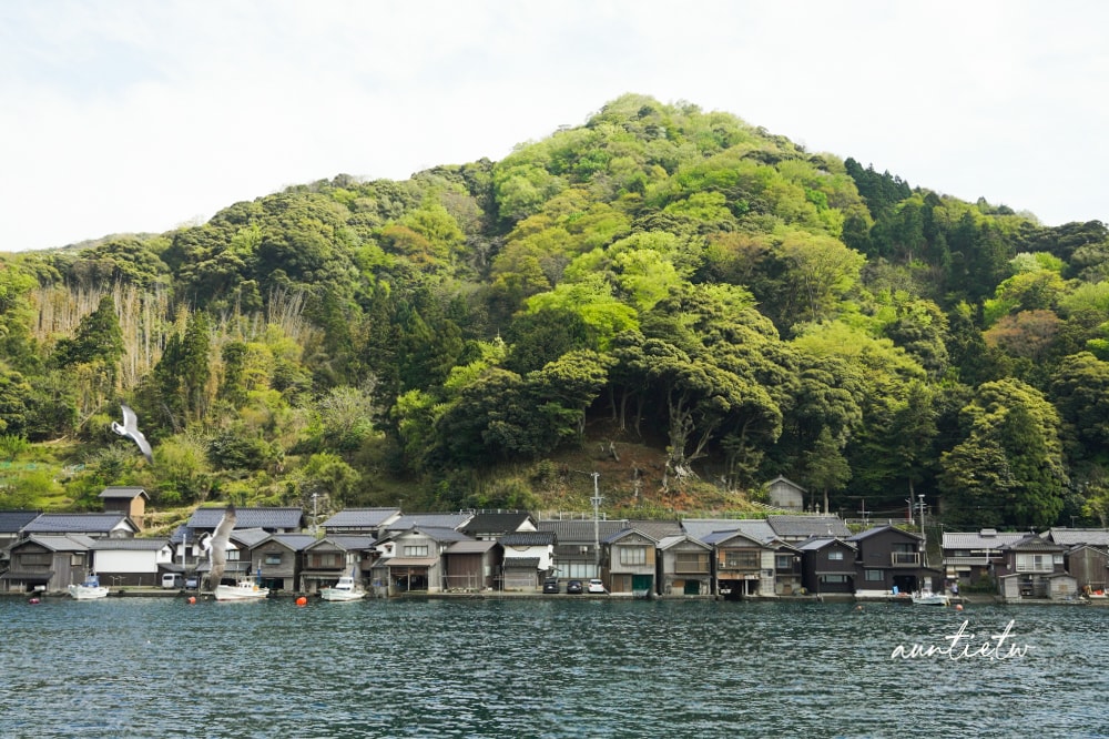 【天橋立一日遊】天橋立View Land飛龍觀,智恩寺,伊根舟屋遊船餵海鷗,水之京都一日遊推薦 - 第58張圖