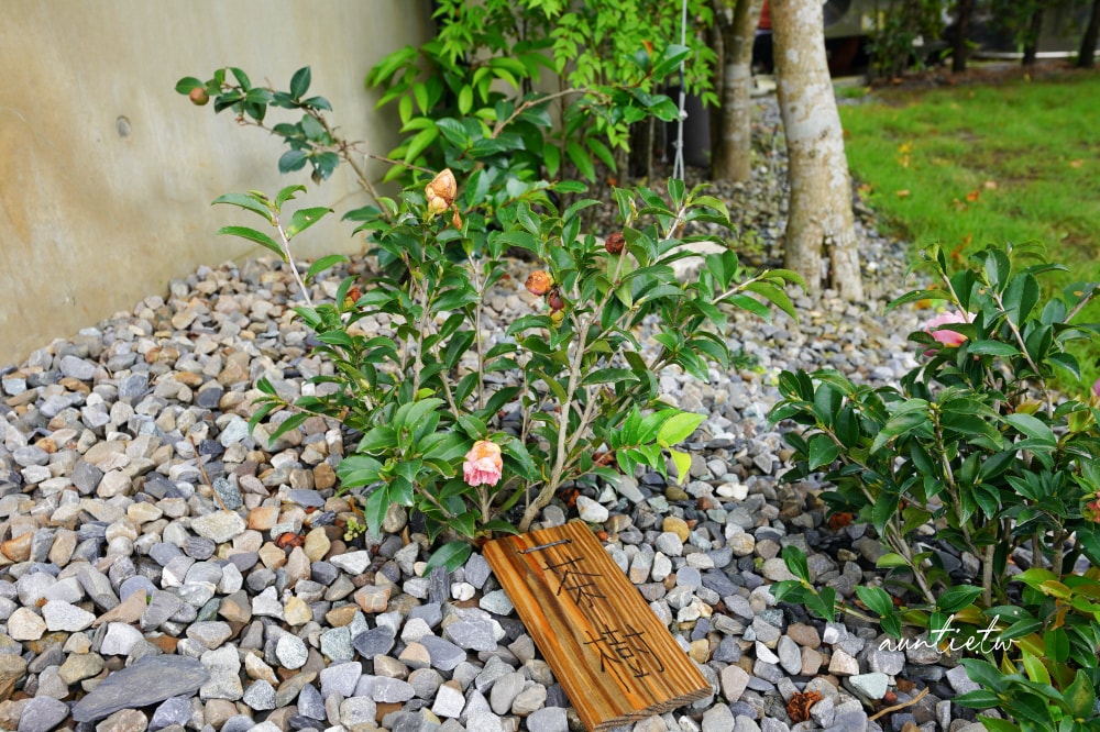 【宜蘭】冬山|小島天光,獨棟清水模建築,生態池環繞,田野邊包棟民宿,可划船還有戶外泳池! - 第6張圖