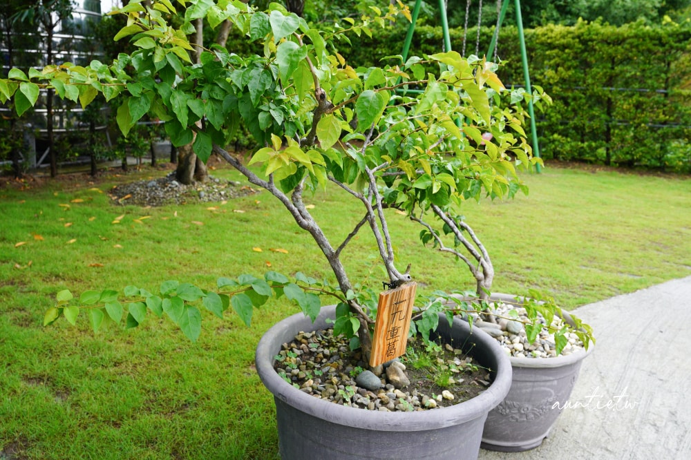 【宜蘭】冬山|小島天光,獨棟清水模建築,生態池環繞,田野邊包棟民宿,可划船還有戶外泳池! - 第7張圖