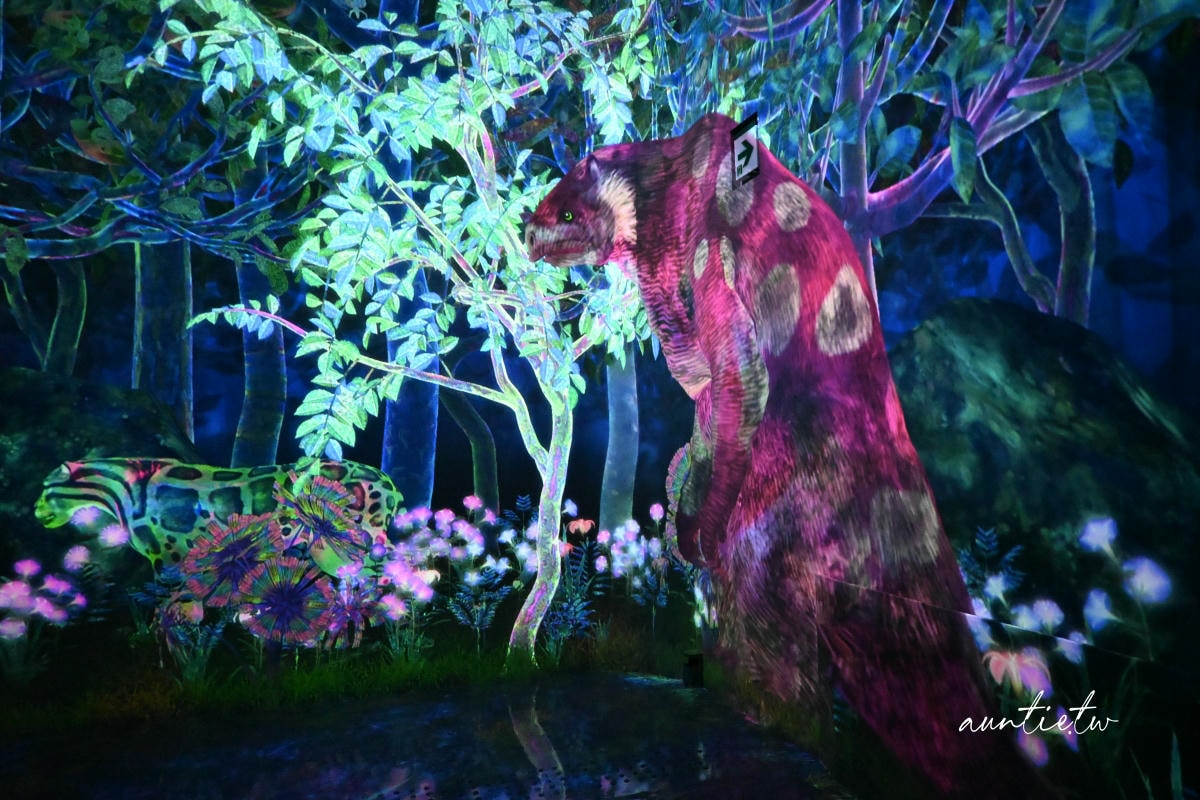 【東京】豐洲|二訪 teamLab Planets TOKYO,東京必訪超震撼感官互動式美術館 - 第26張圖