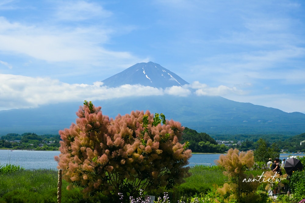 【河口湖】Lake Bake,一旁就是美麗富士山的美味麵包店 - 第13張圖