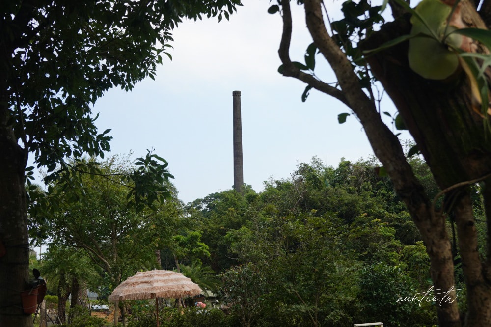 【新北】萬里|此木窯,隱身山林間舊製磚廠改建的窯烤烘培坊,萬里景觀餐廳寵物友善! - 第9張圖