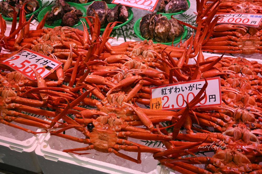 【鳥取美食】境港|境港地魚食堂 魚倉,早餐就來吃新鮮甜蝦丼,漁船直送新鮮魚獲 - 第5張圖