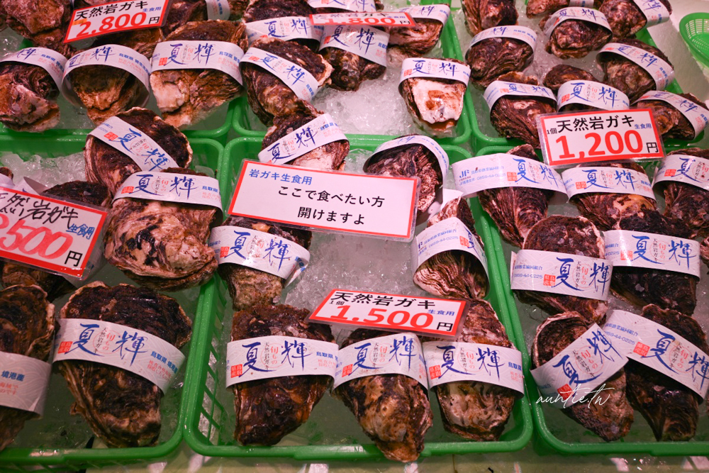 【鳥取美食】境港|境港地魚食堂 魚倉,早餐就來吃新鮮甜蝦丼,漁船直送新鮮魚獲 - 第7張圖
