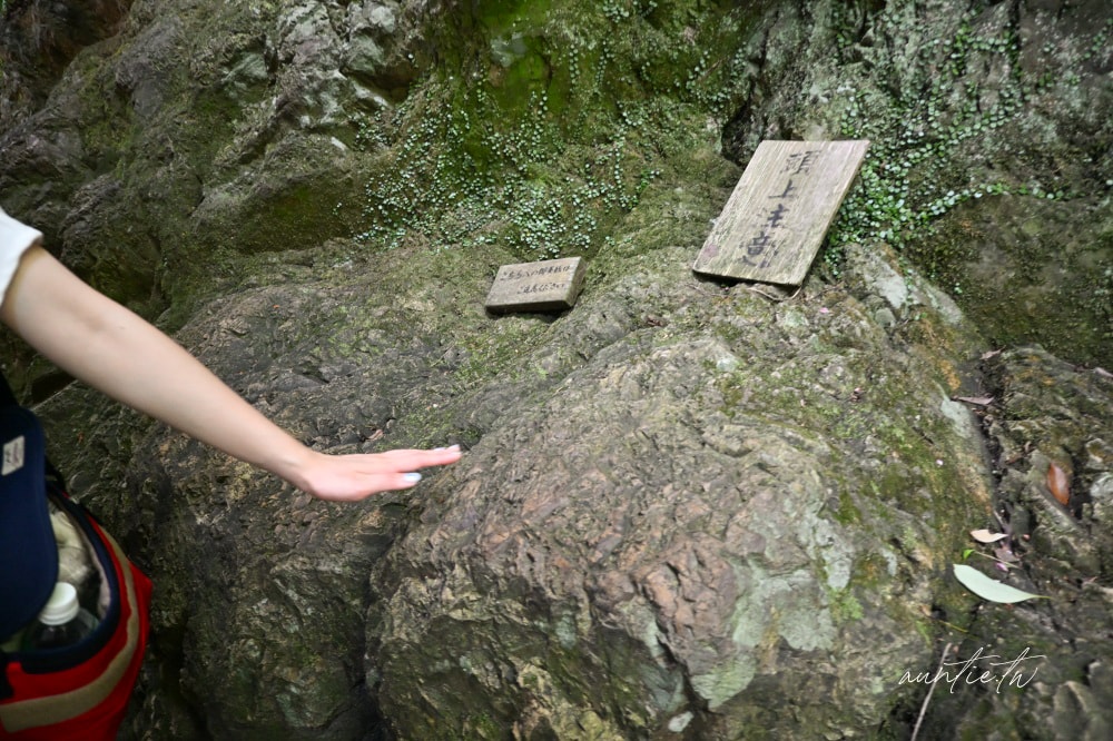 【島根旅遊】結緣之地島根縣四天三夜旅遊美食推薦,國寶松江城、結緣神社出雲大社、懷舊復古木棉街道,必吃極鮮喉黑魚料理! - 第220張圖