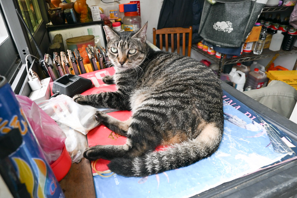 【宜蘭】蘇澳鎮|鄉味津海鮮,朝陽漁港旁,老字號海鮮料理,宜蘭海鮮餐廳推薦 - 第5張圖