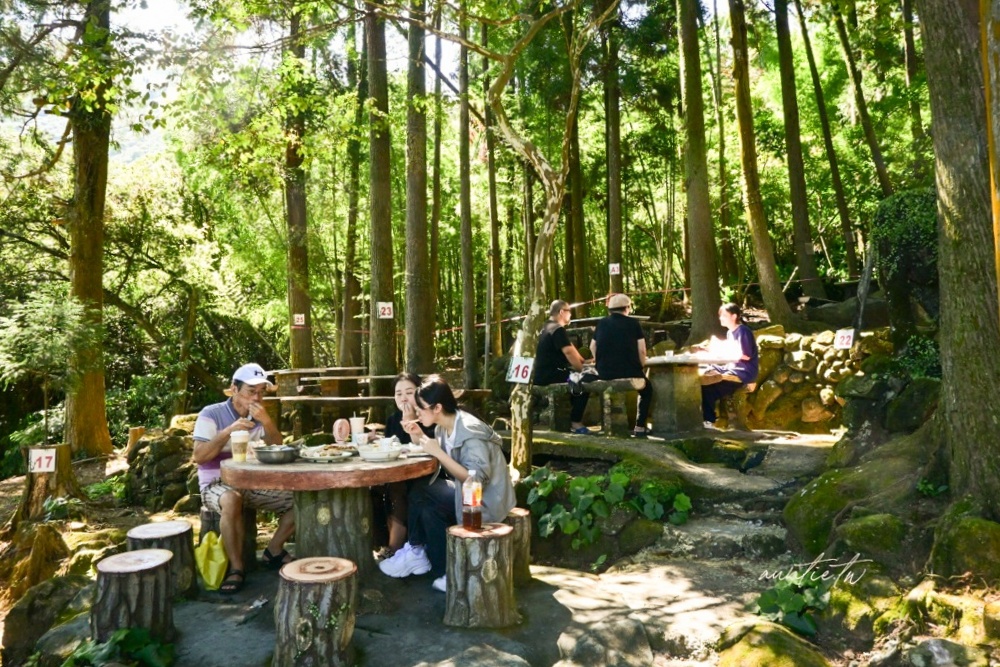 【台北】竹子湖|竹湖土雞城,森林中吃白斬雞自家野菜,陽明山土雞城推薦 - 第9張圖