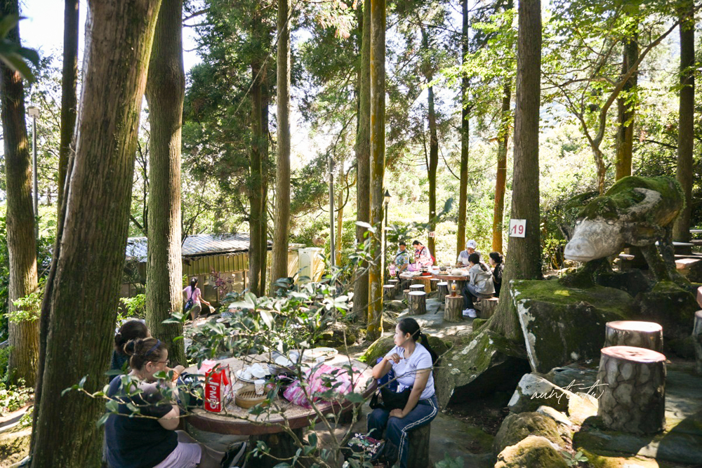 【台北】竹子湖|竹湖土雞城,森林中吃白斬雞自家野菜,陽明山土雞城推薦 - 第7張圖