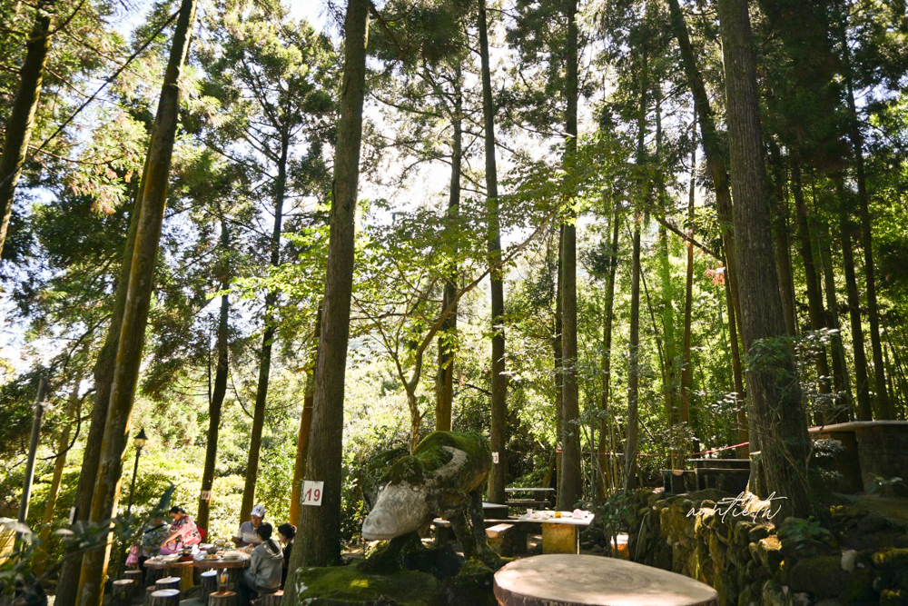 【台北】竹子湖|竹湖土雞城,森林中吃白斬雞自家野菜,陽明山土雞城推薦 - 第8張圖