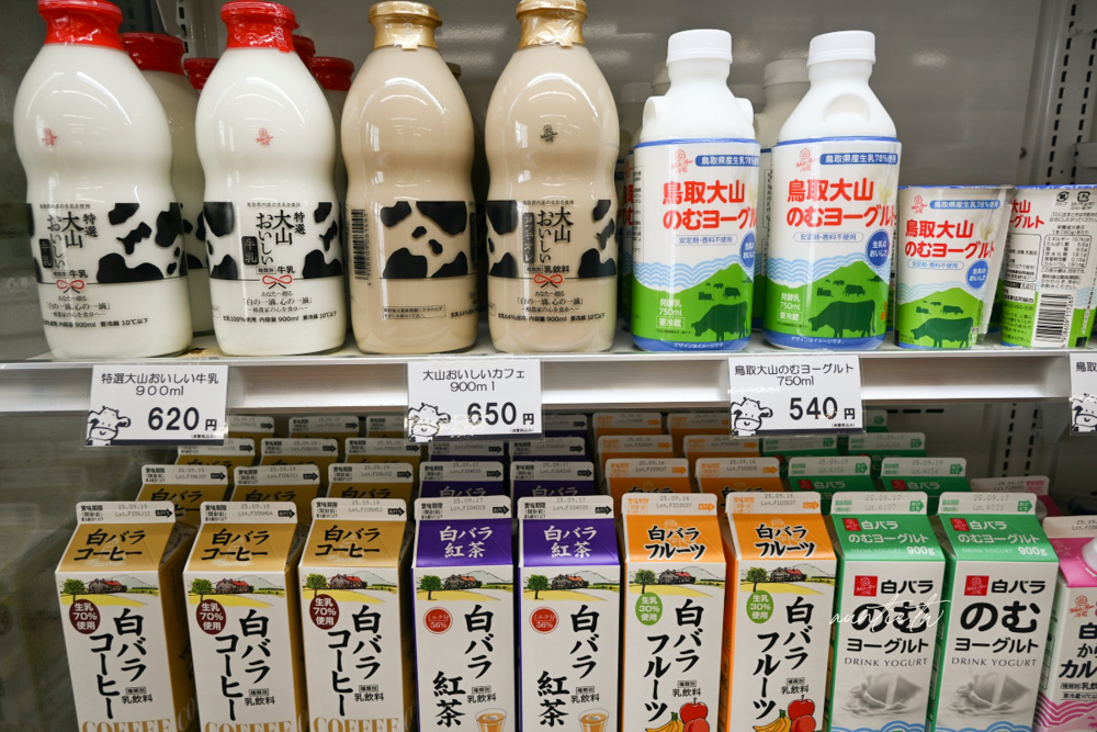 【鳥取美食】Cowy’s Milk House,大山乳業直營販賣所,超濃牛奶冰淇淋伴手禮推薦! - 第7張圖