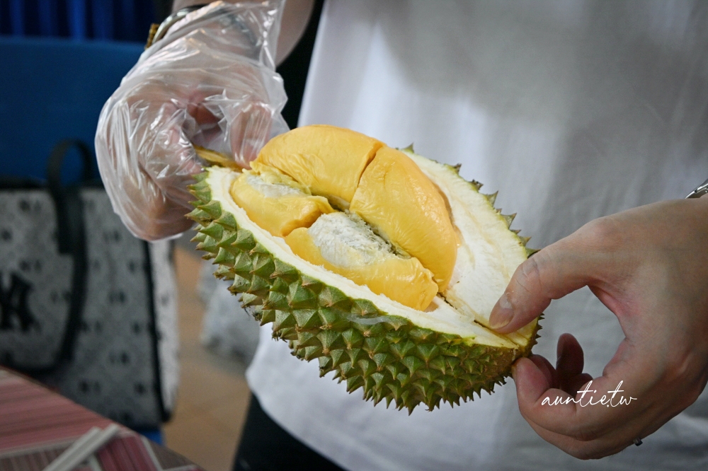 【馬來西亞旅遊】柔佛州｜迪沙魯水果園，走進熱帶果園大嗑水果 Buffet，近距離小動物互動還有刺激越野車！