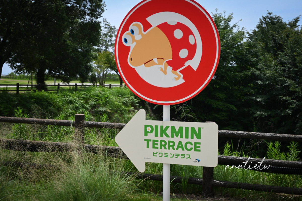【廣島旅遊】宮島SA Pikmin Terrace 皮克敏公園怎麼去｜超萌戶外裝置＋紀念品店限定開箱，順遊嚴島神社超順路