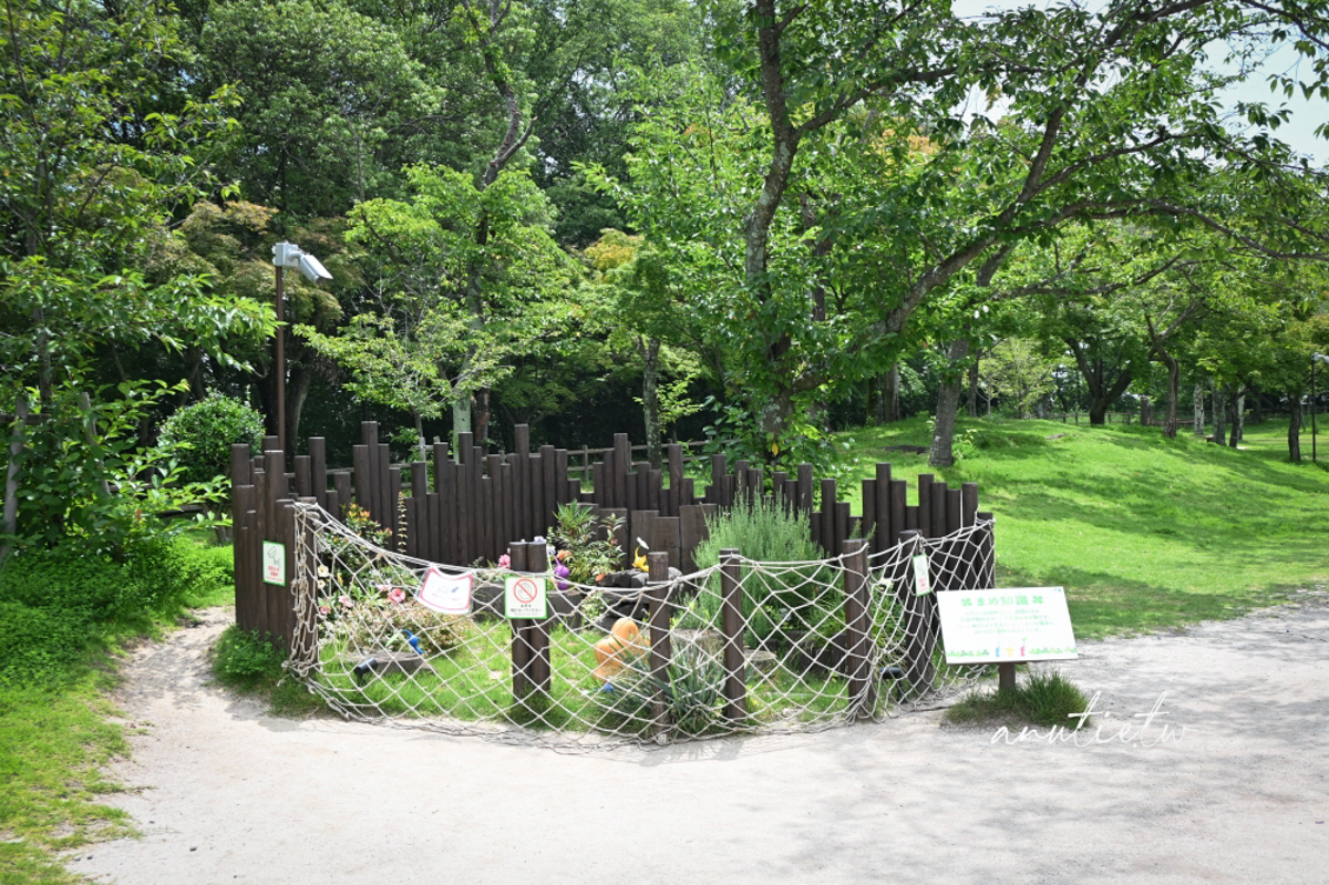 【廣島旅遊】宮島SA Pikmin Terrace 皮克敏公園怎麼去｜超萌戶外裝置＋紀念品店限定開箱，順遊嚴島神社超順路