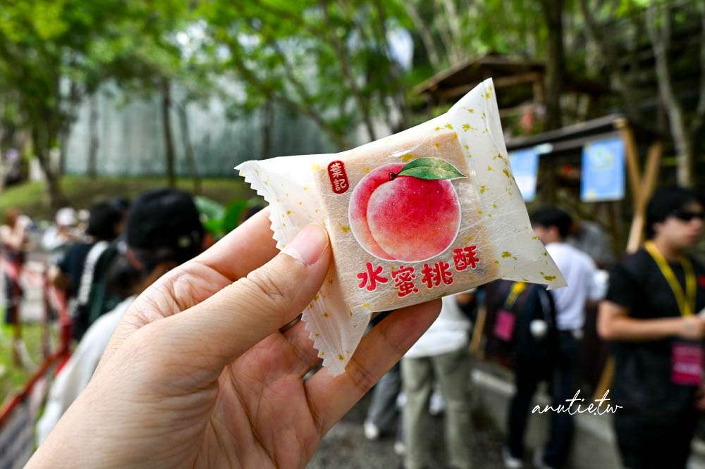 【桃園】復興區|小烏來宇內溪溫泉戲水區,夏日玩水、溪谷美人湯,山林裡享受天然碳酸氫鈉泉 - 第19張圖 【桃園】復興區|小烏來宇內溪溫泉戲水區,夏日玩水、溪谷美人湯,山林裡享受天然碳酸氫鈉泉