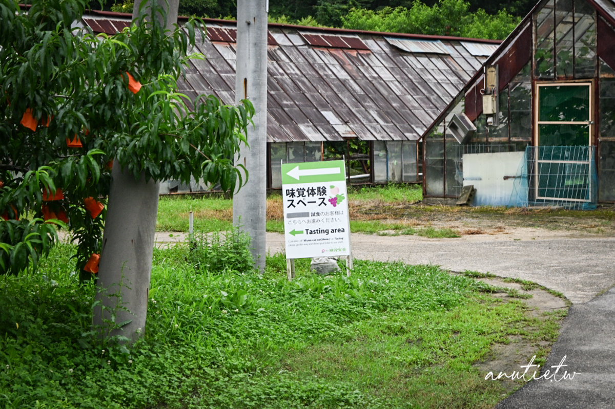 【岡山旅遊】岡山採白桃，桃茂実苑，現採當季白桃體驗，還有人氣白桃霜淇淋