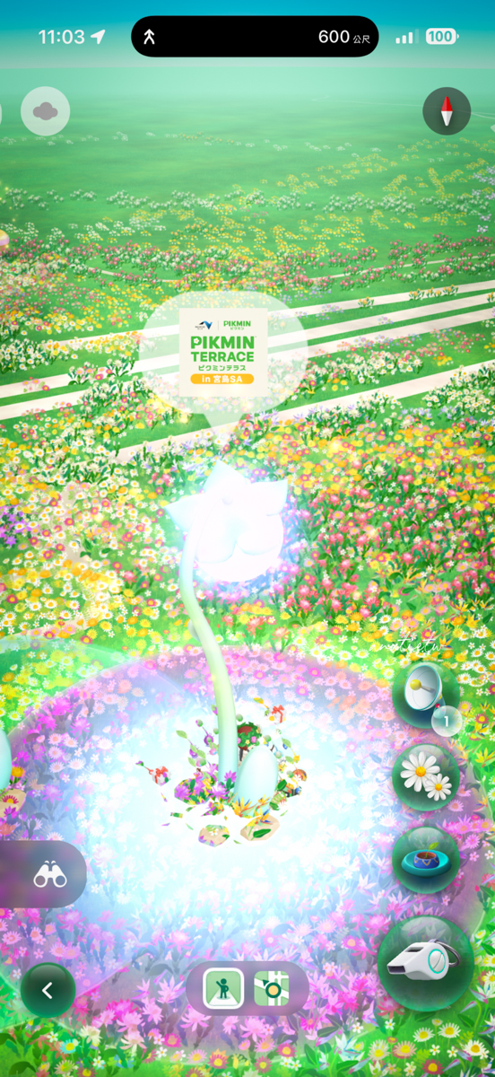 【廣島旅遊】宮島SA Pikmin Terrace 皮克敏公園怎麼去｜超萌戶外裝置＋紀念品店限定開箱，順遊嚴島神社超順路